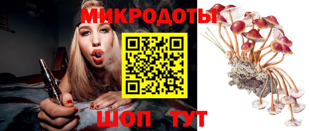 Всеволожск  наркота  Галлюциногенные грибы прущие грибы  Вход с VPN  Галлюциногенные грибы Psilocybe 